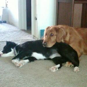 Meet your Posher, Linette